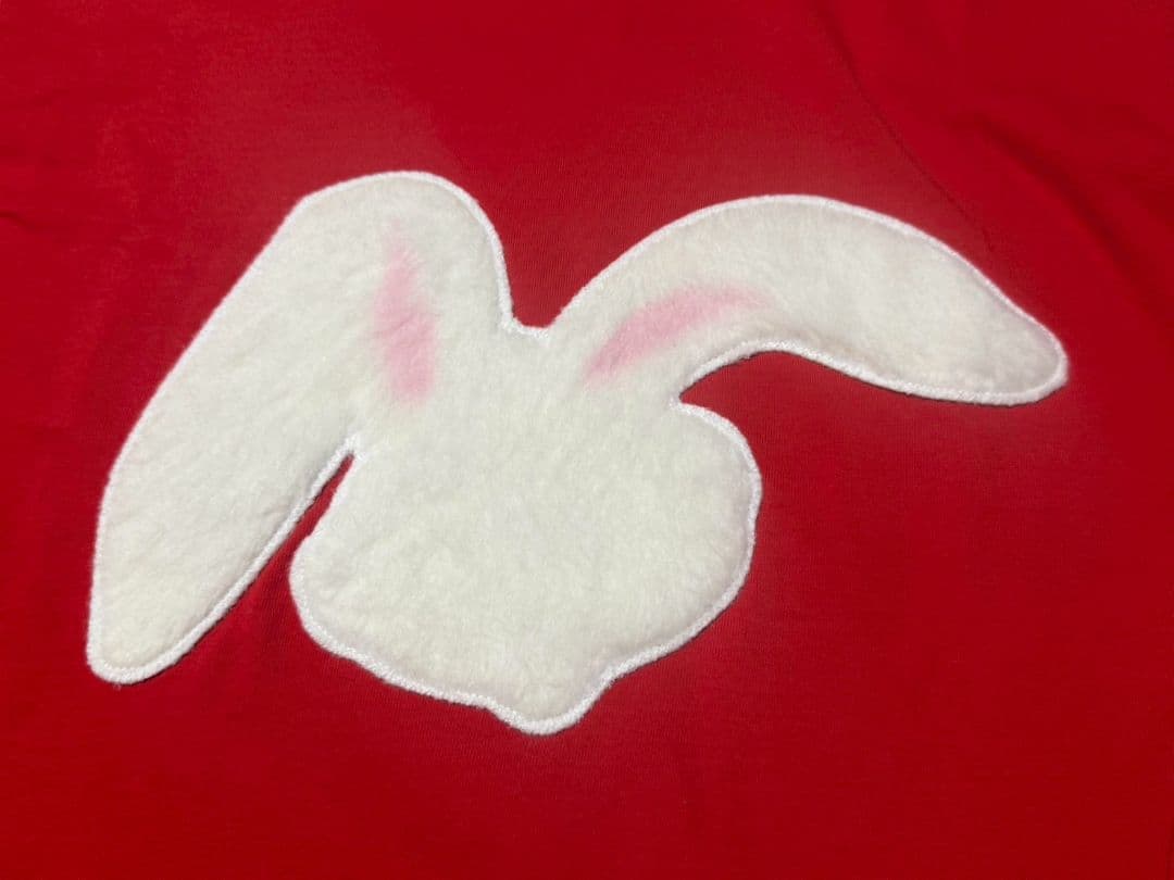 22万円 DIOR 2023SS ERL ディオール ラビットパッチ ロンT L