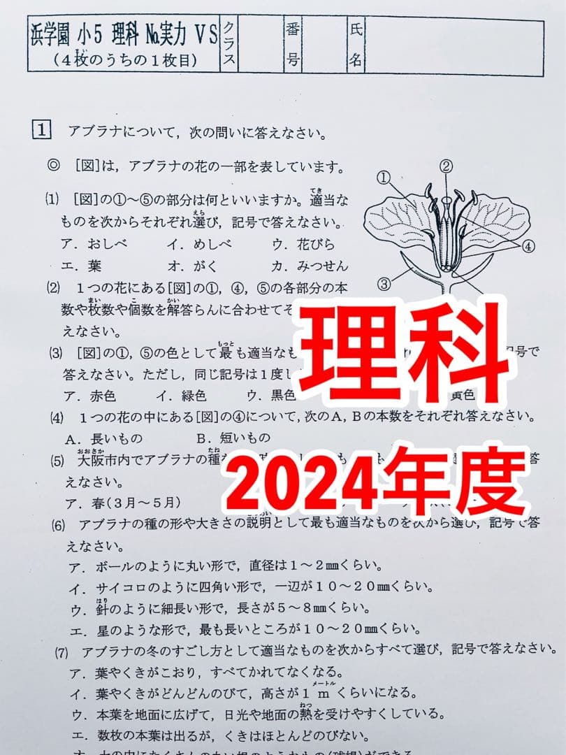 浜学園　最新版　2024年　小5　復習テスト　Vクラス　算国理　3科目k