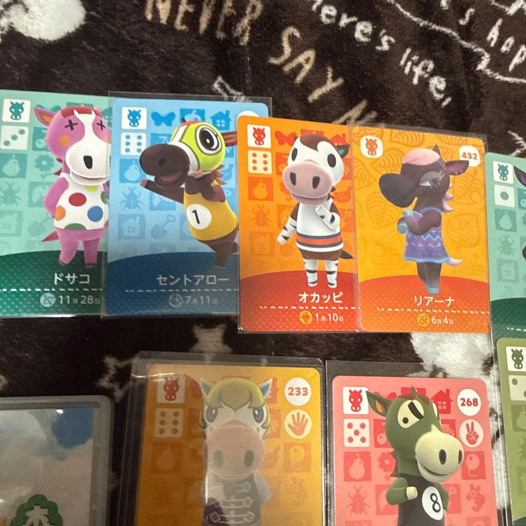 Switch あつまれどうぶつの森 ➕馬達のカード付き