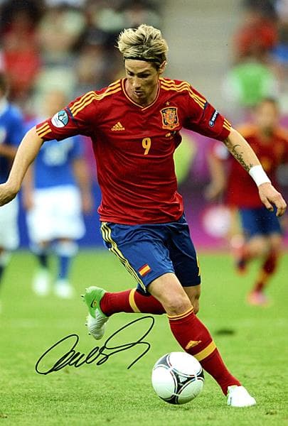 フェルナンド・トーレス スペイン代表 証明書付き　直筆サイン入りフォト