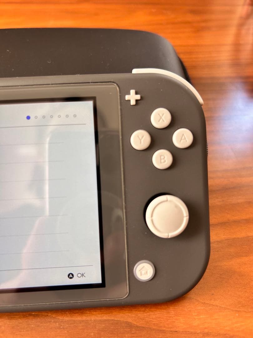 （箱あり）任天堂Switch light・ACアダプター・ケース