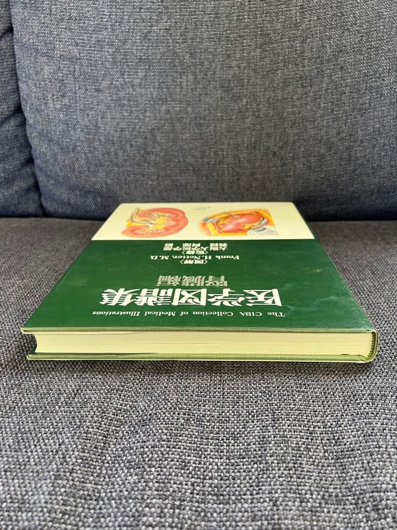 医学図譜集 腎臓編【Frank H. Netter 解剖学専門書 医学イラスト本