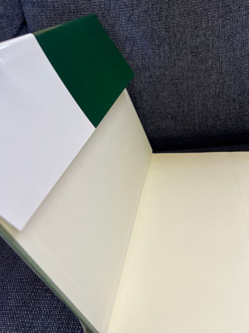 医学図譜集 腎臓編【Frank H. Netter 解剖学専門書 医学イラスト本