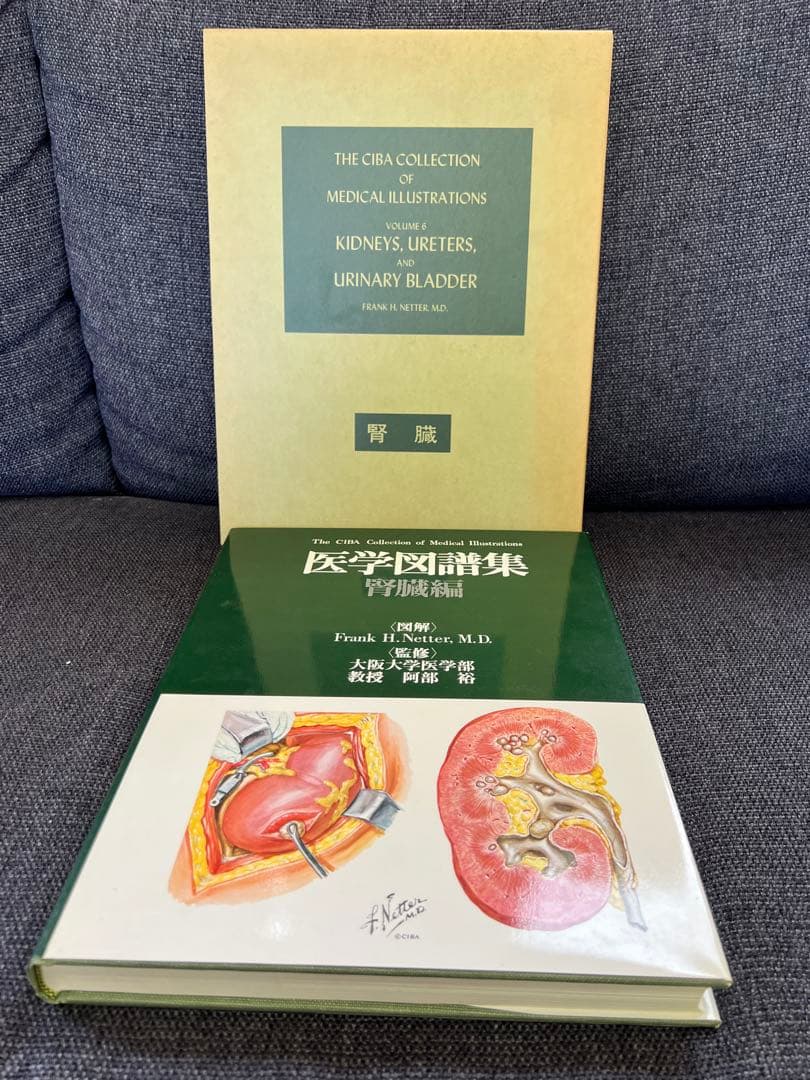 医学図譜集 腎臓編【Frank H. Netter 解剖学専門書 医学イラスト本
