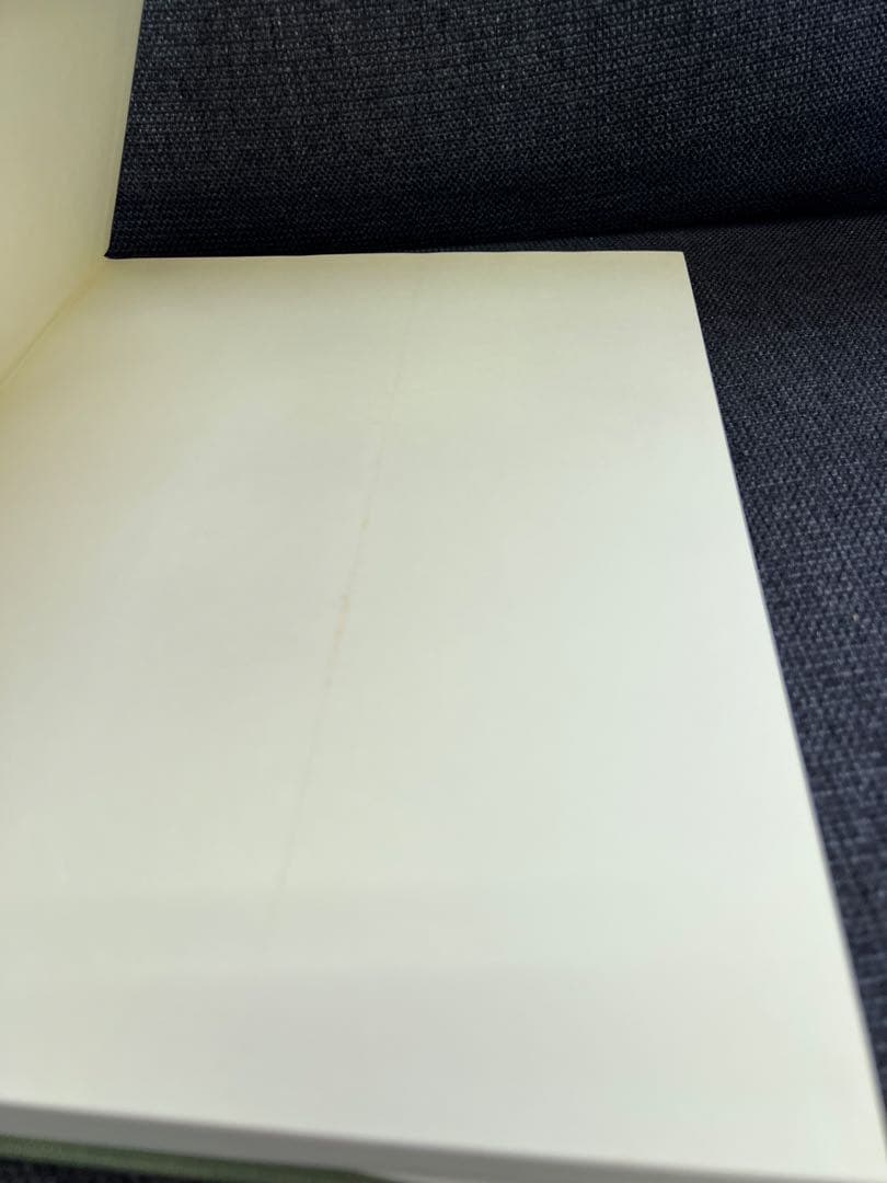 医学図譜集 腎臓編【Frank H. Netter 解剖学専門書 医学イラスト本