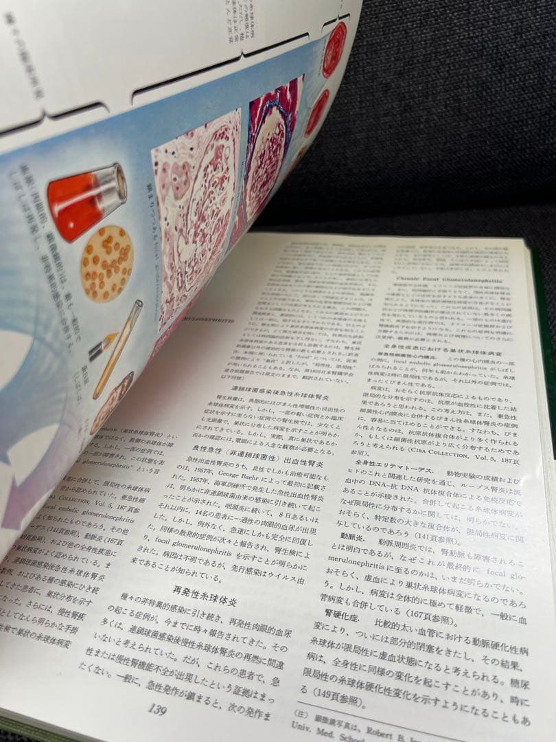 医学図譜集 腎臓編【Frank H. Netter 解剖学専門書 医学イラスト本