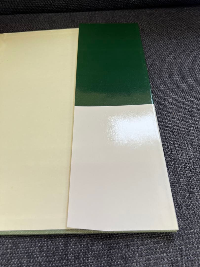 医学図譜集 腎臓編【Frank H. Netter 解剖学専門書 医学イラスト本