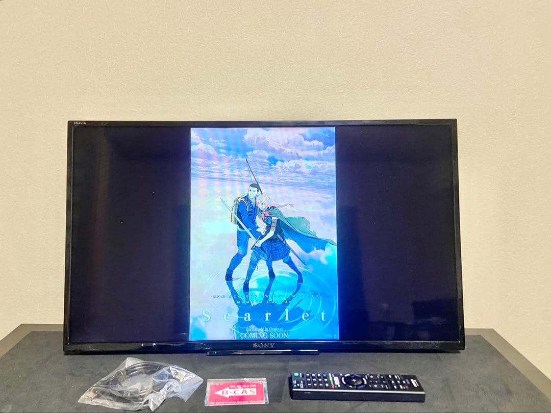 【今だけ優待価格】SONY BRAVIA 32V型HD・裏番組録画(外付HDD)