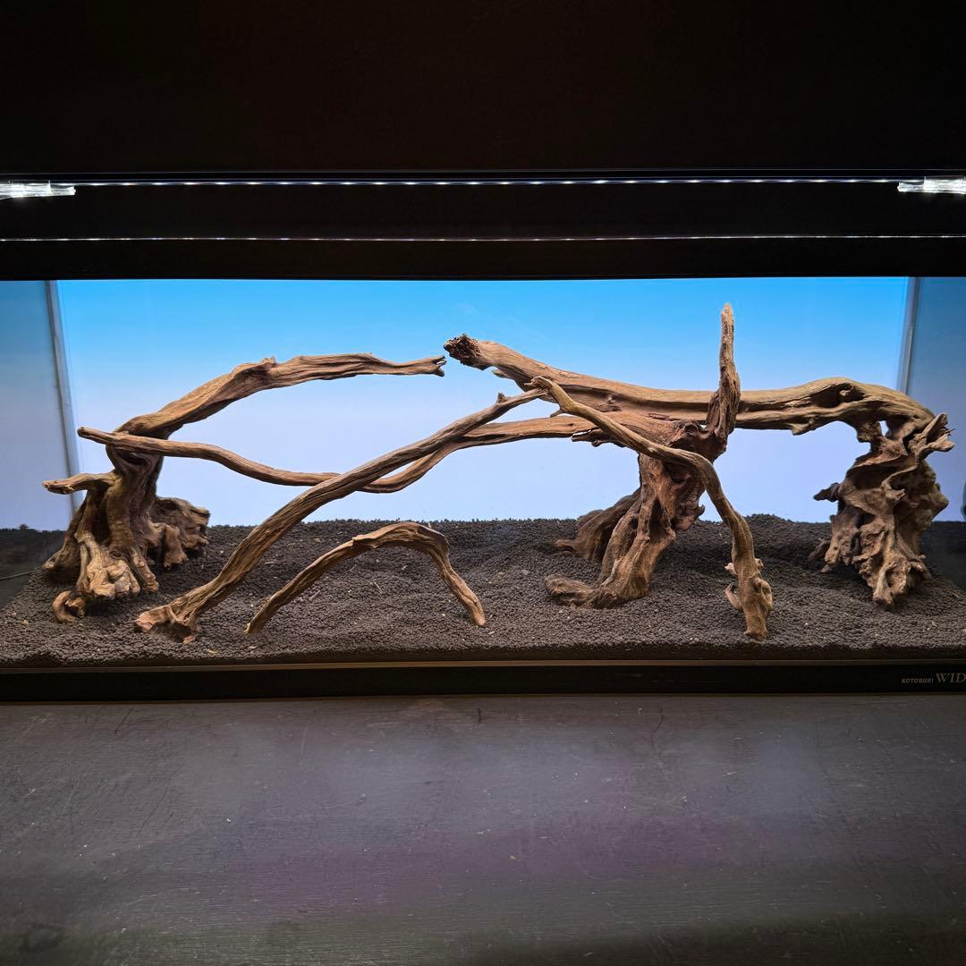 MSRW-6834 天然流木レイアウトセット　スリムウッド　アクアリウム