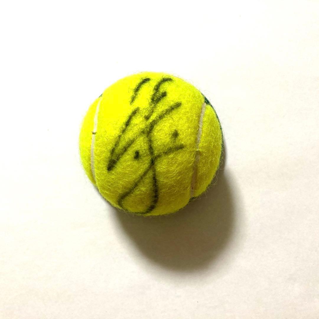 全豪OPテニス本　伊達公子選手など5名の直筆サインボール