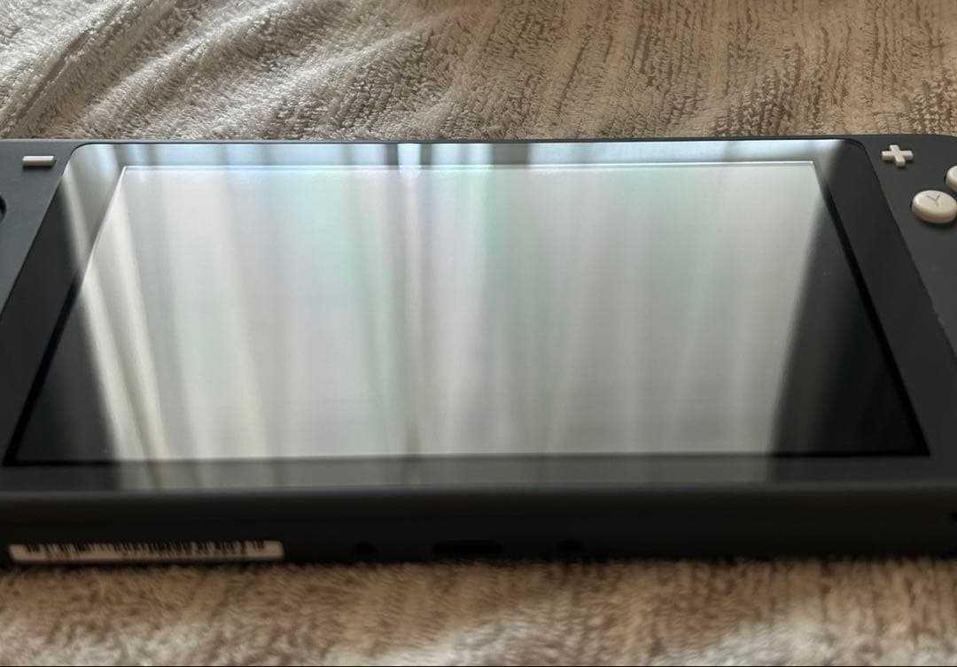 【値下げ)Nintendo Switch Lite + マリオカート　8DX