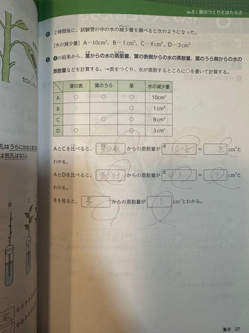 浜学園　小5 理科　 要点のまとめ、問題編 2024年度版　1年分(計12冊)