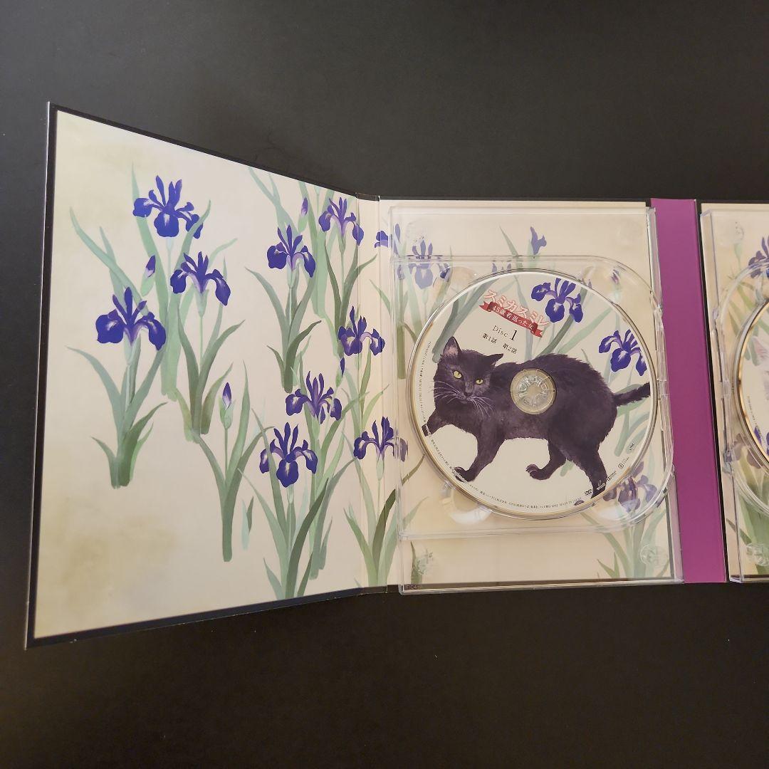 スミカスミレ 45歳若返った女 DVD-BOX(5枚組)