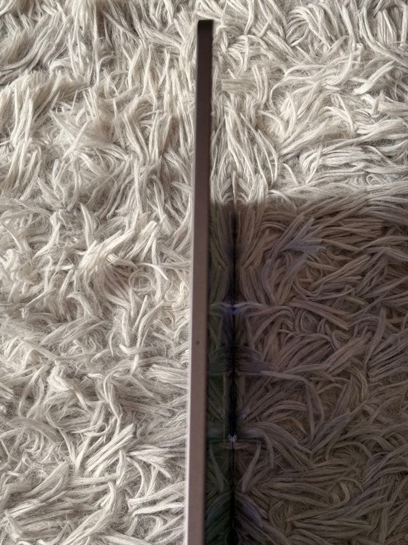 Z*Z様 ipad pro 第1世代 256GB 11インチ バッテリー100%