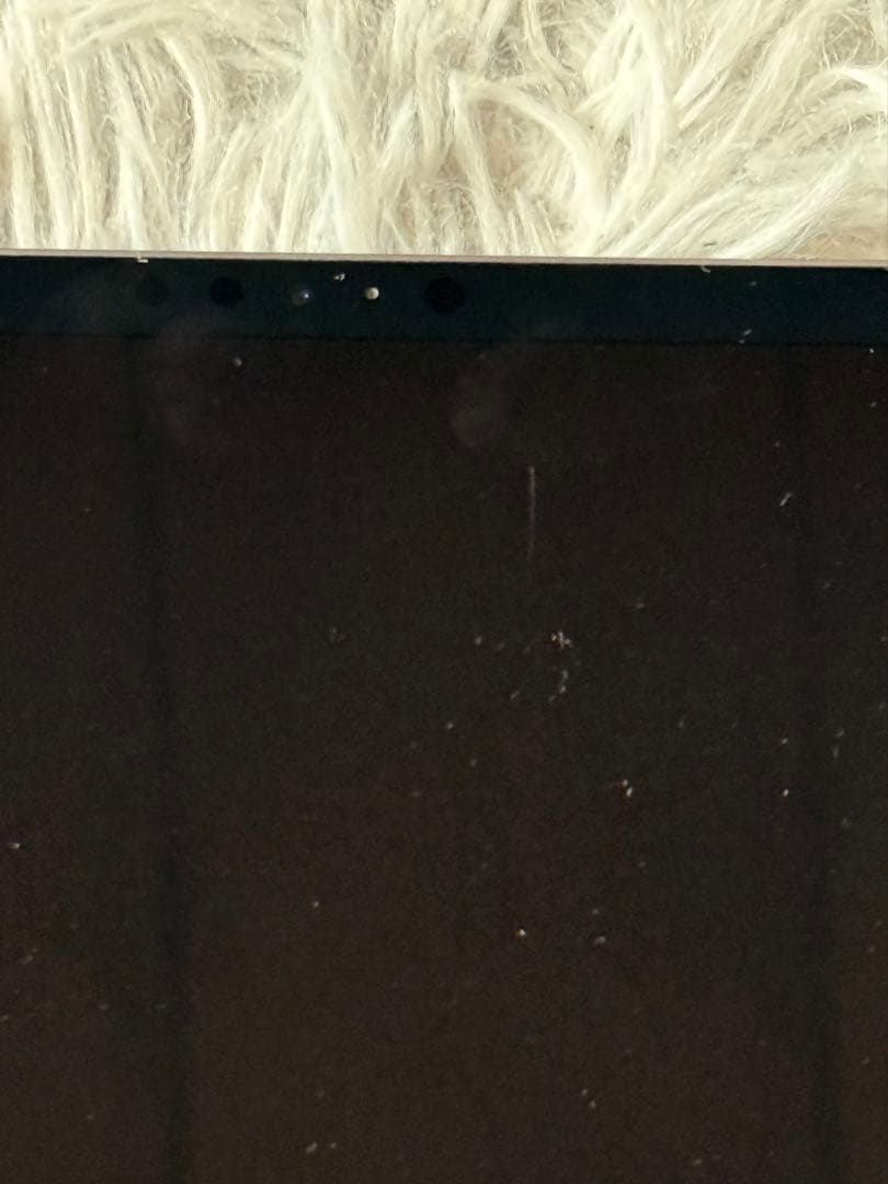 Z*Z様 ipad pro 第1世代 256GB 11インチ バッテリー100%