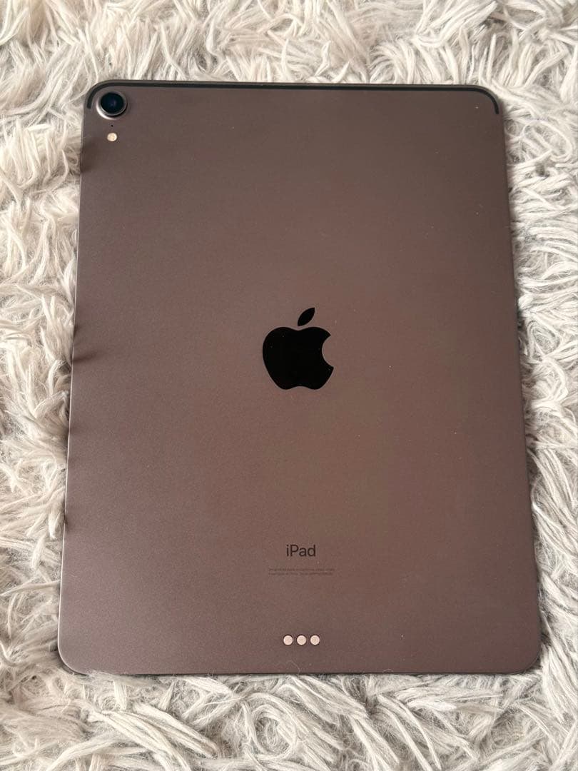 Z*Z様 ipad pro 第1世代 256GB 11インチ バッテリー100%
