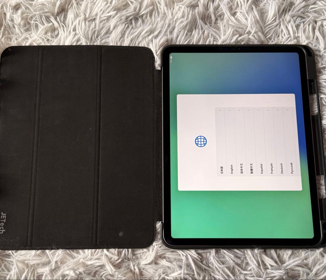 Z*Z様 ipad pro 第1世代 256GB 11インチ バッテリー100%