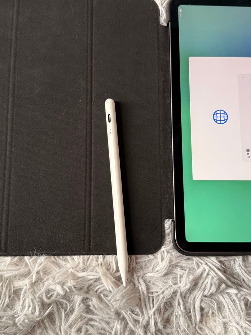 Z*Z様 ipad pro 第1世代 256GB 11インチ バッテリー100%