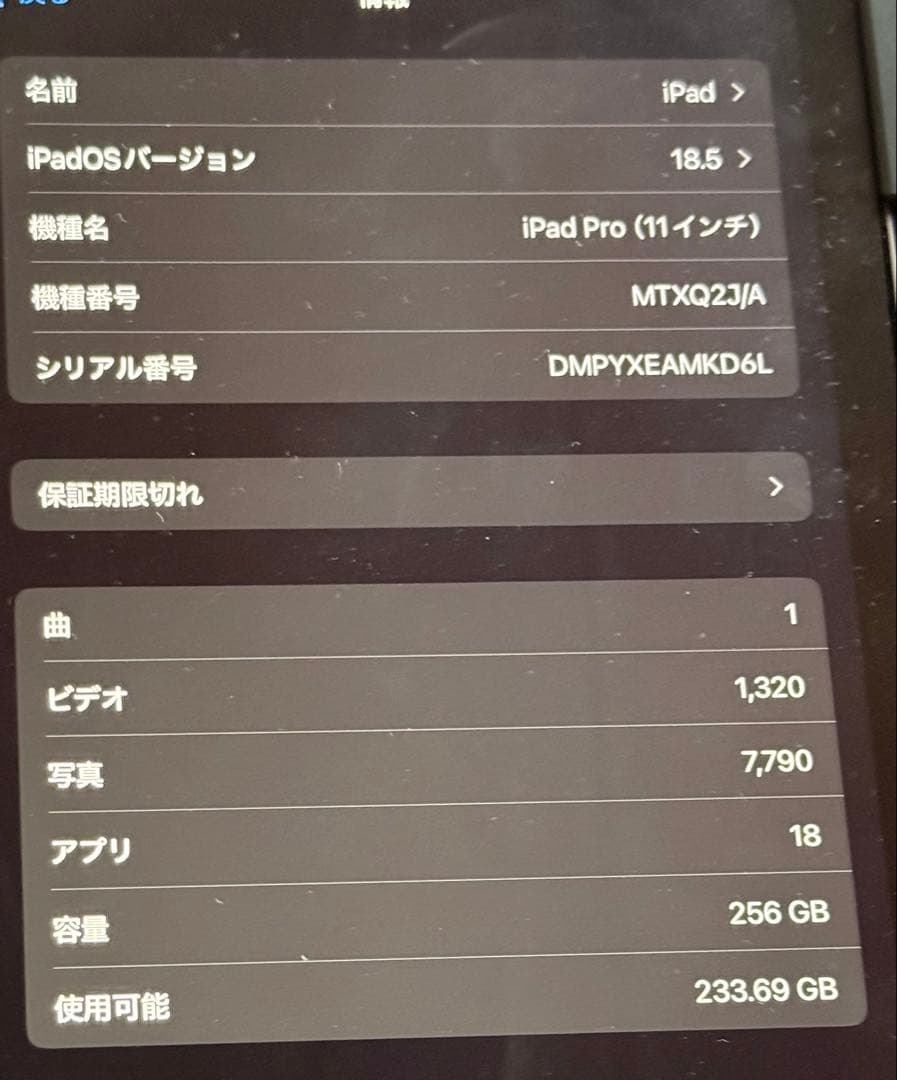 Z*Z様 ipad pro 第1世代 256GB 11インチ バッテリー100%