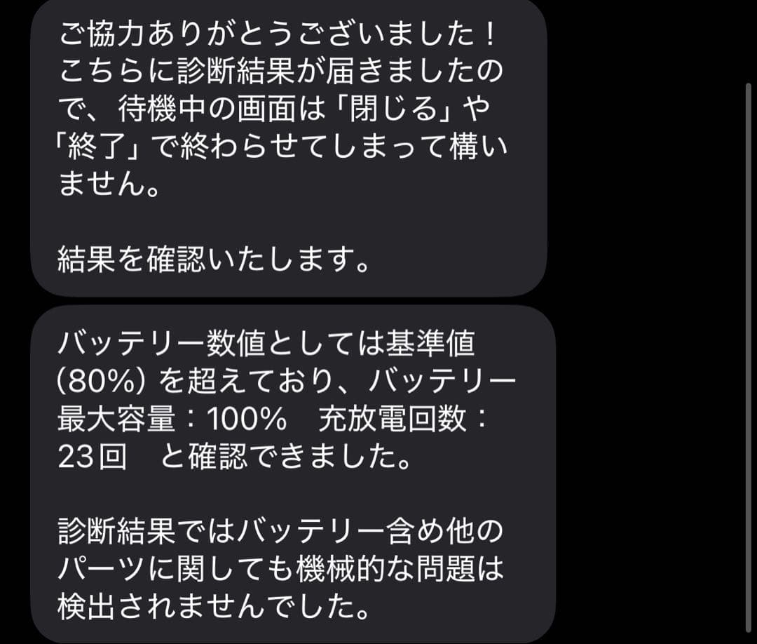 Z*Z様 ipad pro 第1世代 256GB 11インチ バッテリー100%