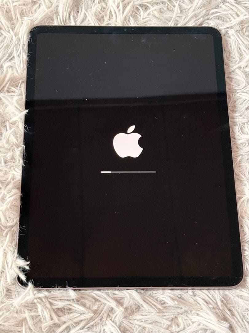 Z*Z様 ipad pro 第1世代 256GB 11インチ バッテリー100%