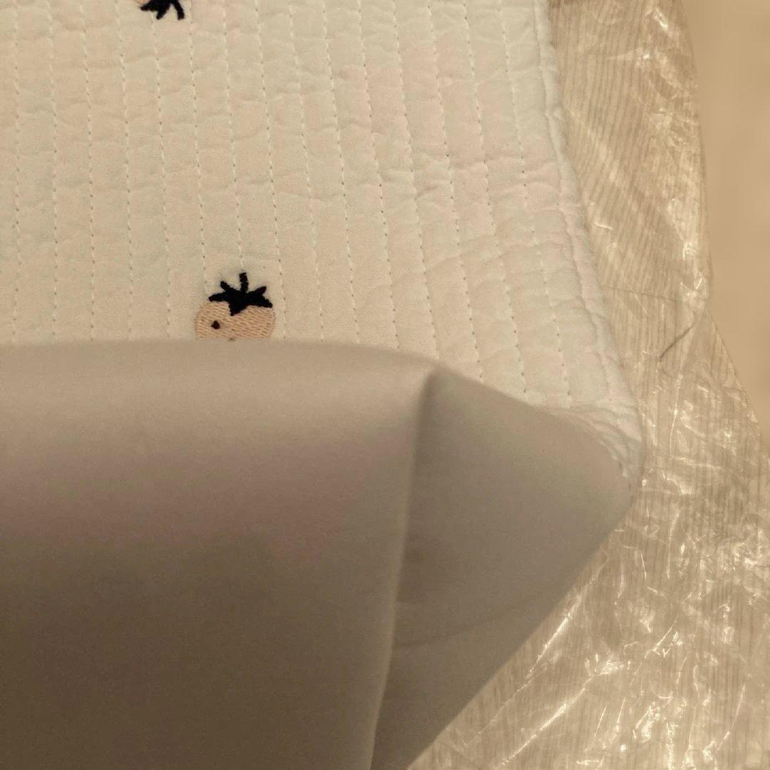 ファミリア ピオヌンナルコラボトート