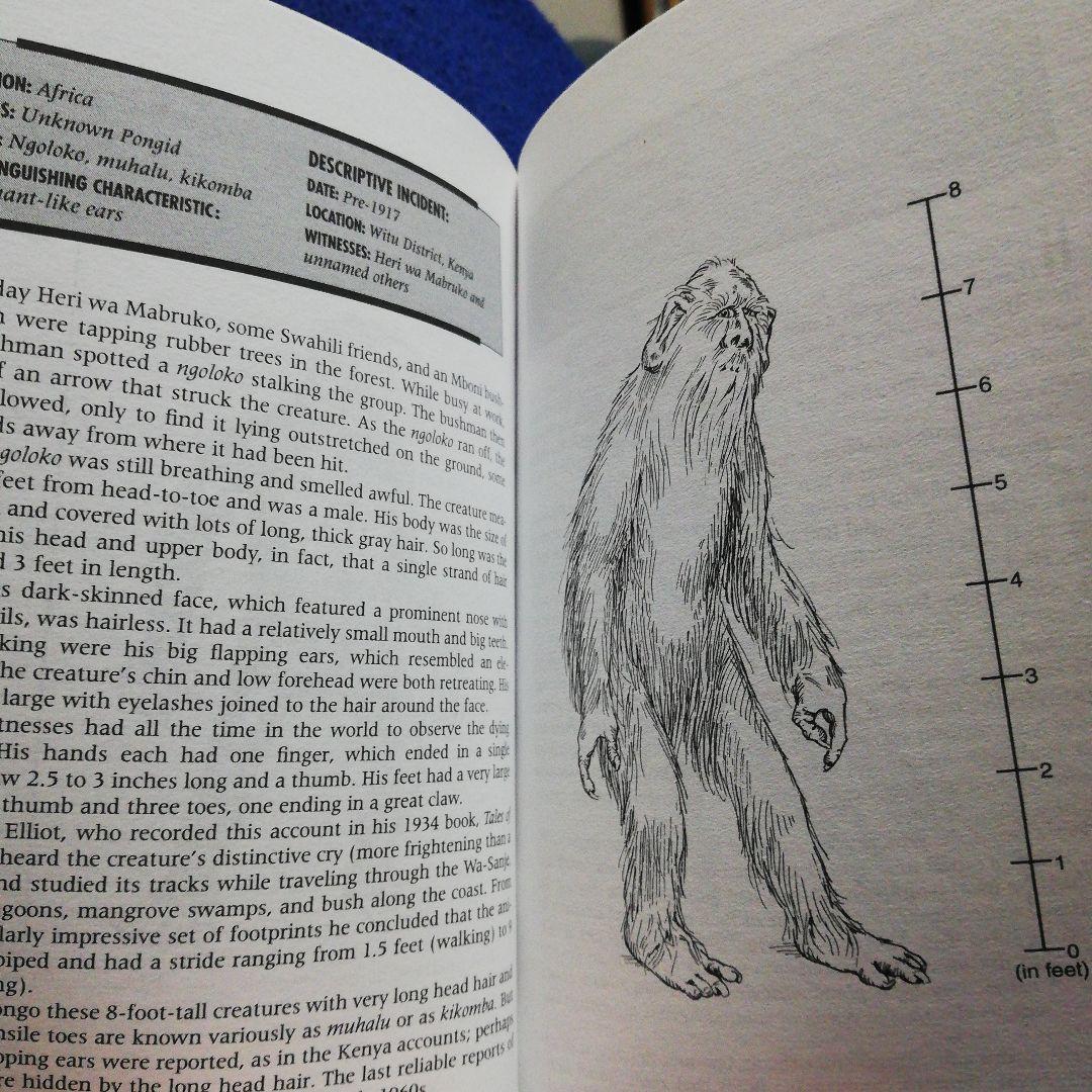 洋書 Field Guide to Bigfoot/Coleman (Signed)