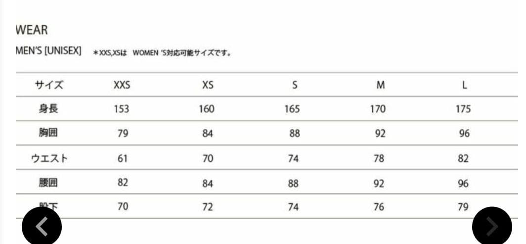 PHENIX フェニックス スキーウェア ジャケット メンズ