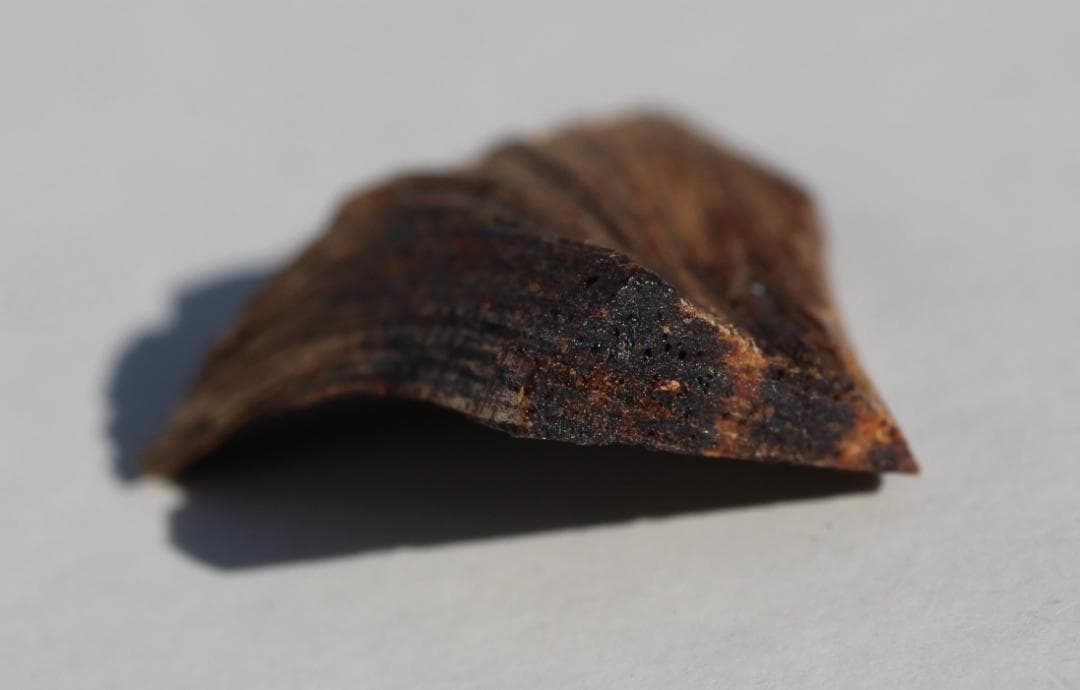 香木 古渡命銘木 「初音」約0.28g 沈香 伽羅 奇南 奇楠 お香 香道