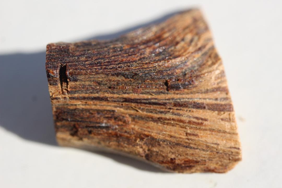 香木 古渡命銘木 「初音」約0.28g 沈香 伽羅 奇南 奇楠 お香 香道