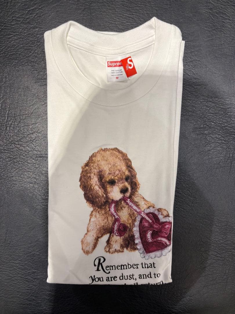 supreme 25FW Dust Tee White Ｍサイズ