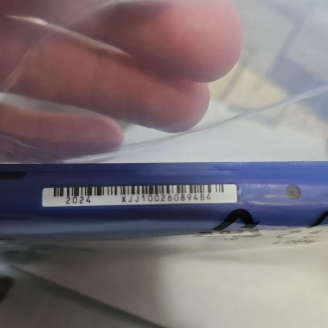 スイッチライト　本体