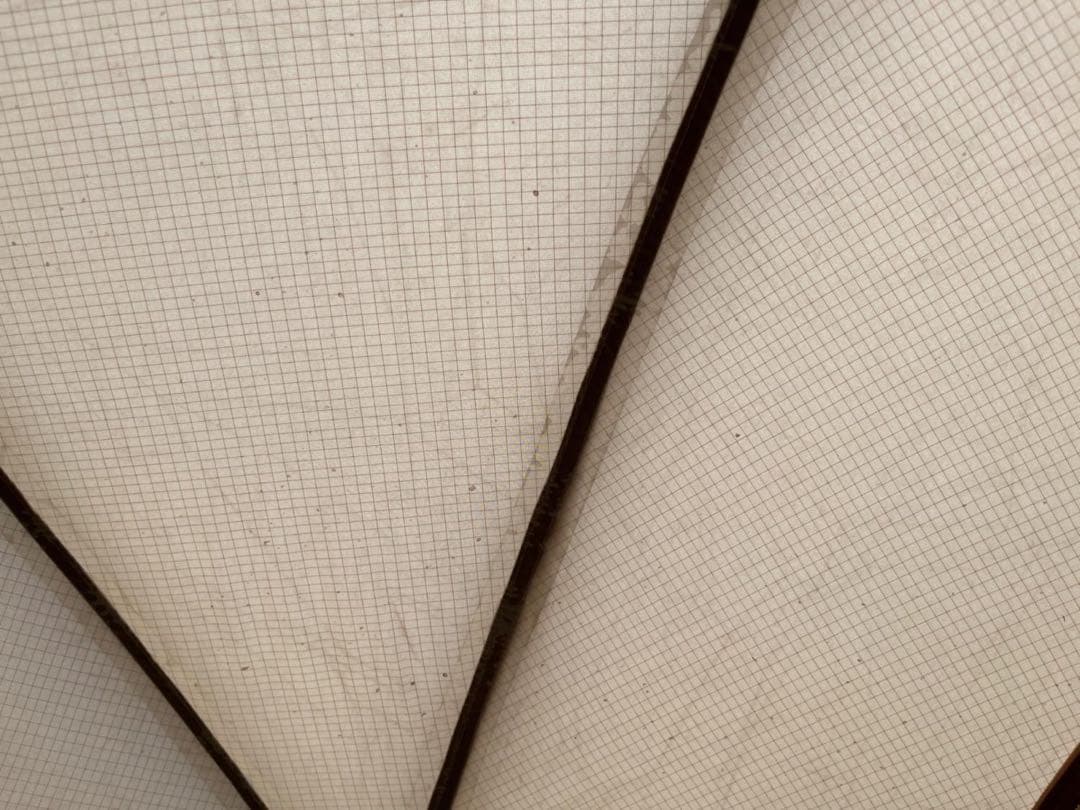 ね*み様 troia トロイ Hektor ヘクターテント thearth ヘク