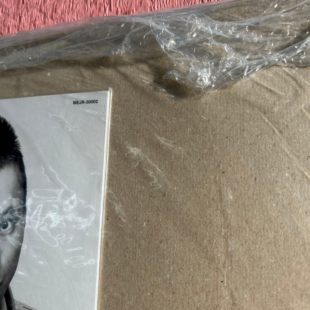 ブルーハーツ／ヤング&プリティ　　新品アナログ