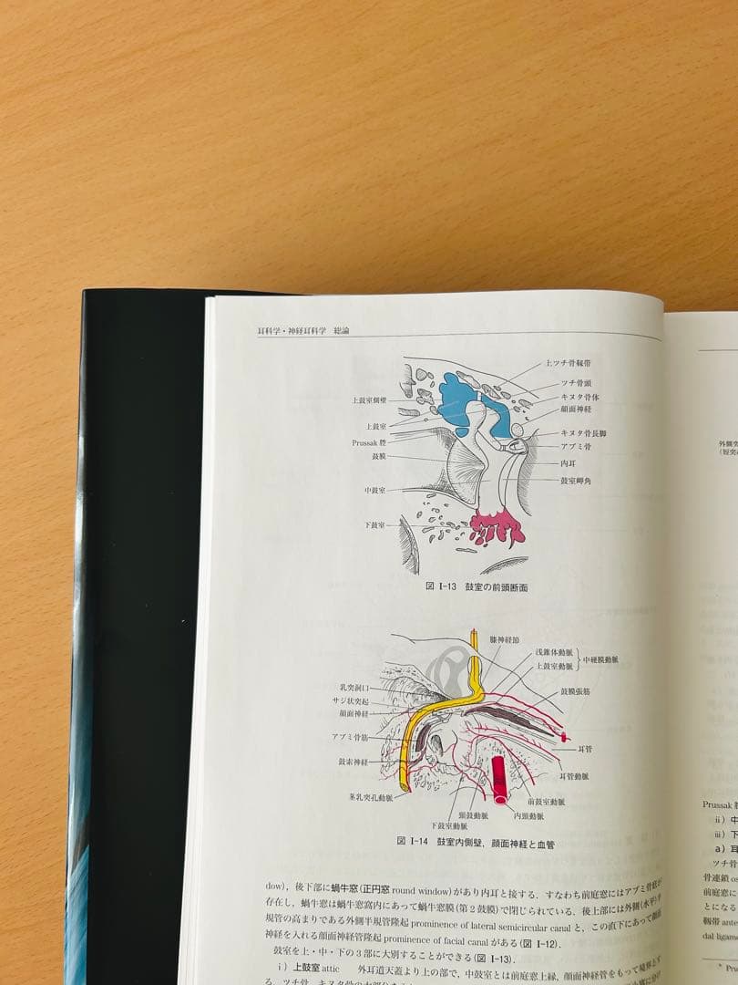 「新耳鼻咽喉科学 改訂12版」切替一郎　原著