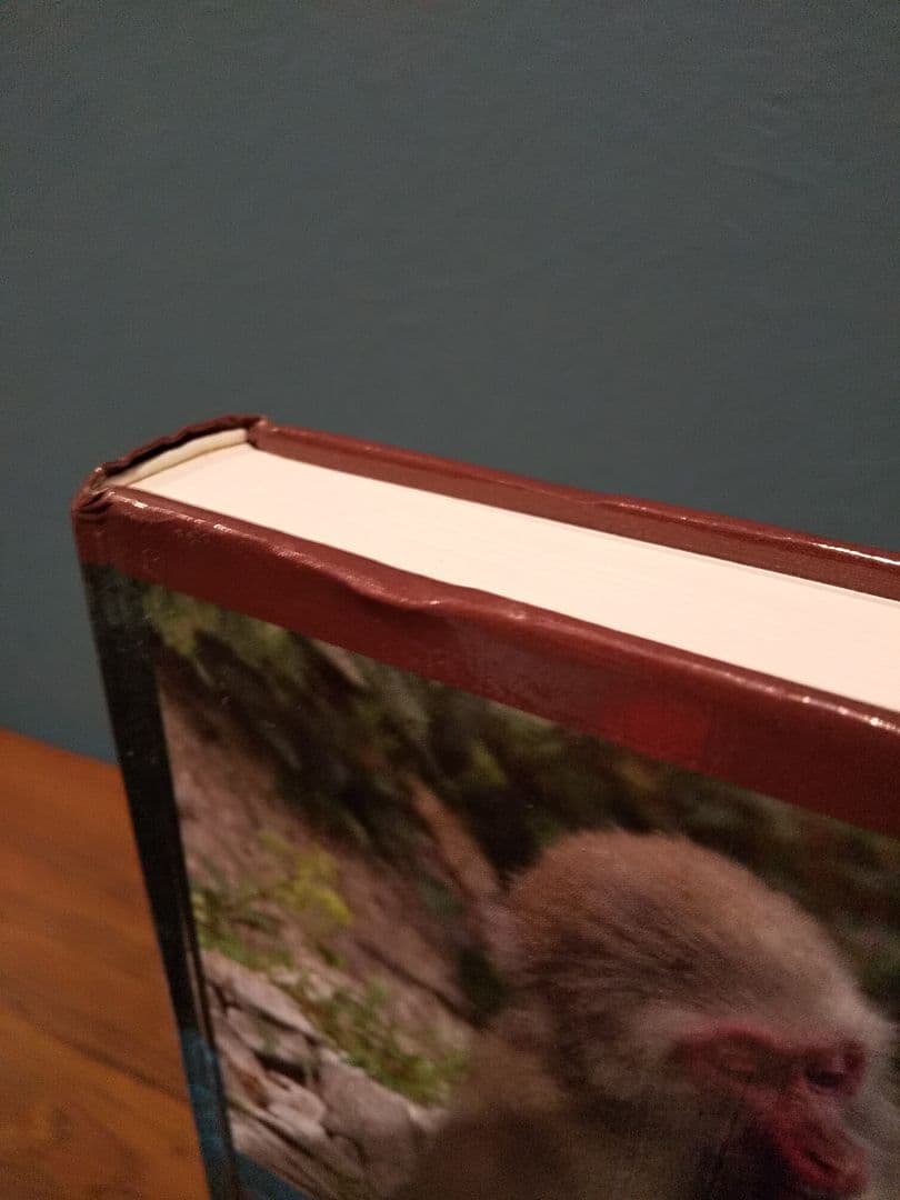 〈洋書〉ニホンザル ／編＝ 杉浦秀樹、中川尚文、中道正之