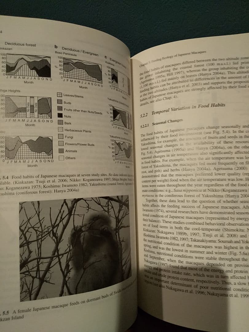 〈洋書〉ニホンザル ／編＝ 杉浦秀樹、中川尚文、中道正之
