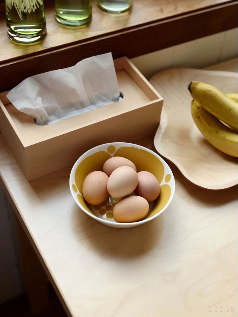 スンヌンタイ　ARABIA ボウル　16.5cm scope 2セット