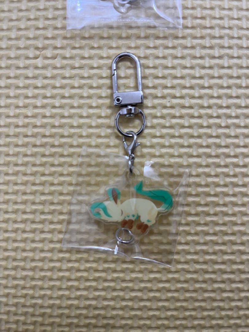 ポケモンスリープ　つながるアクリルチャーム　イーブイフレンズ　9匹