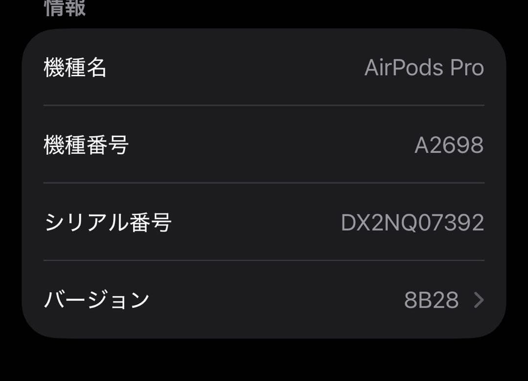 AirPods Pro 2 Lightningコネクタ 2022年モデル　完品