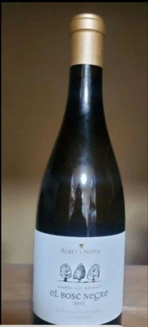 2本　白ワイン　アルベット・イ・ノヤ・エル・ボスク・ネグレ 750ml×1本