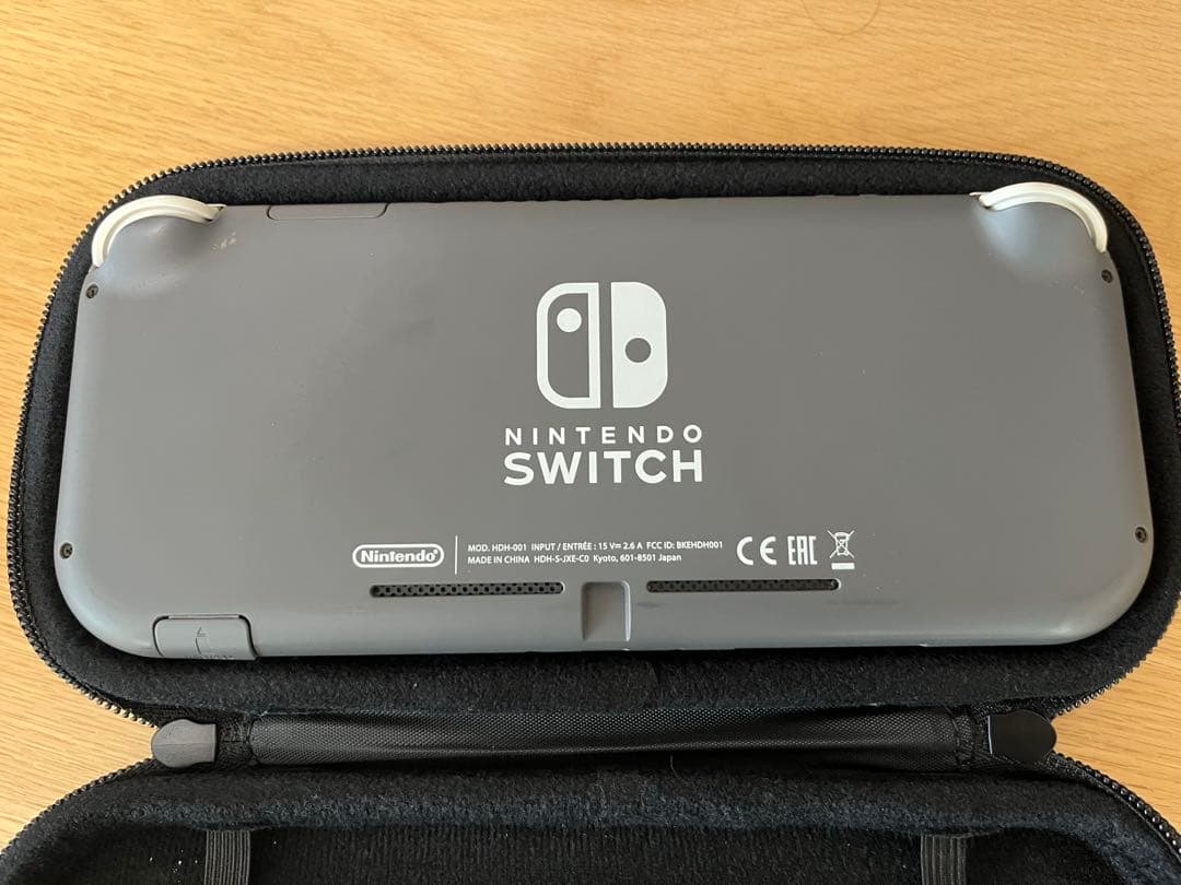 Nintendo Switch light本体 +充電器+ケース