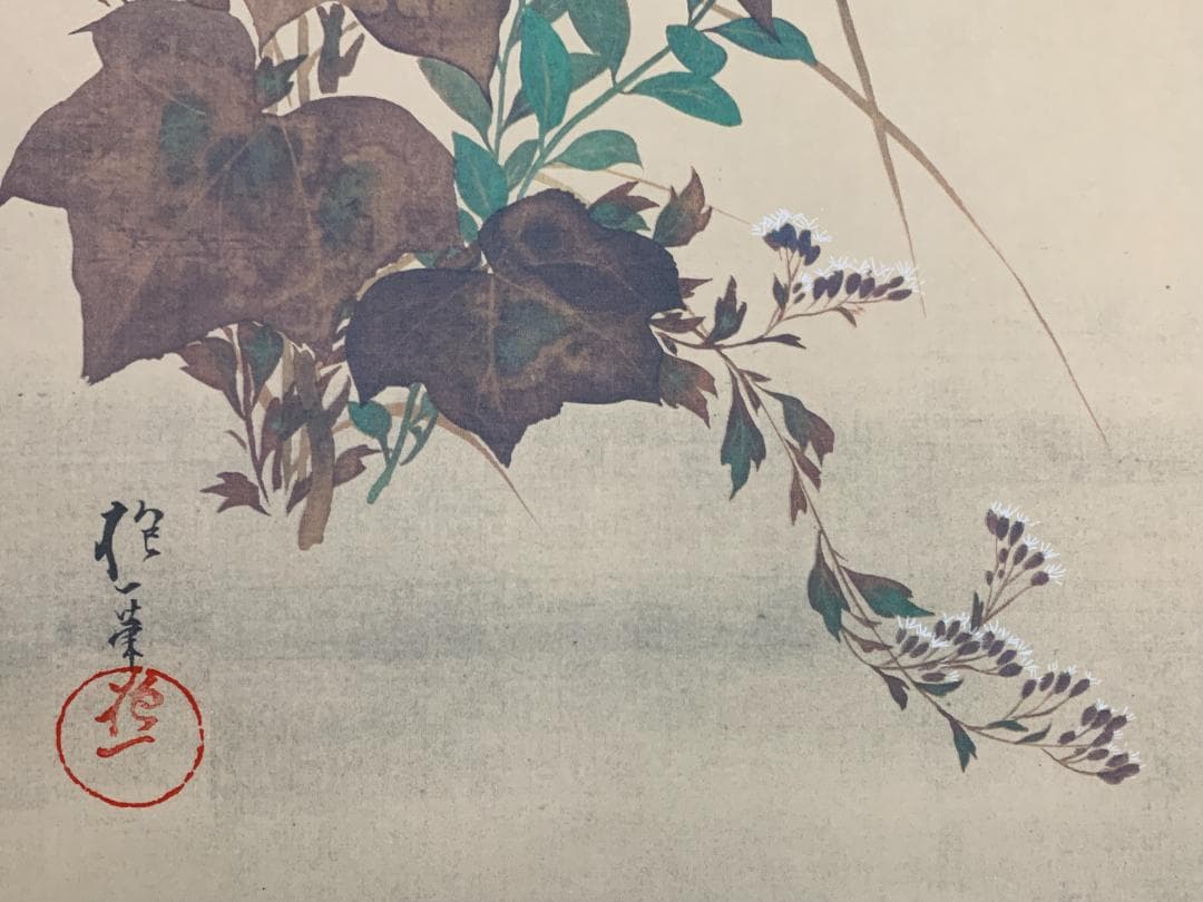 酒井抱一 秋草螽斯図 絹本 豪華復刻版 複製掛軸 江戸琳派 花鳥図 524