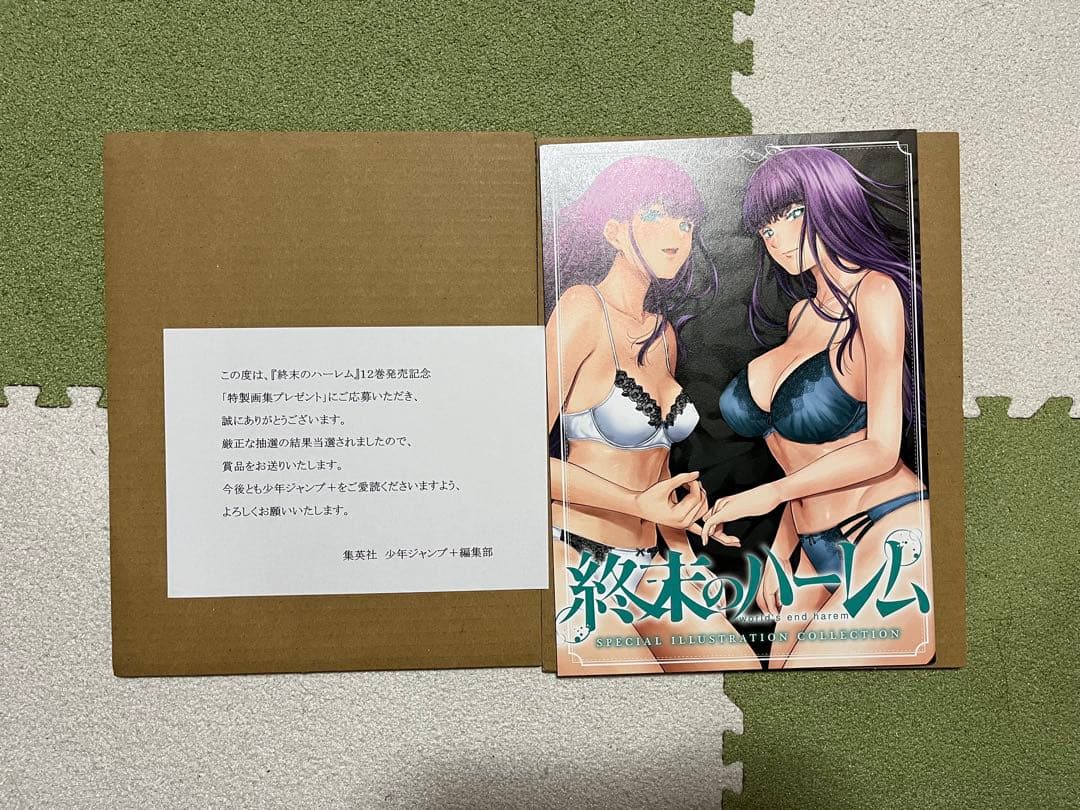 終末のハーレム 限定30名 激レア画集