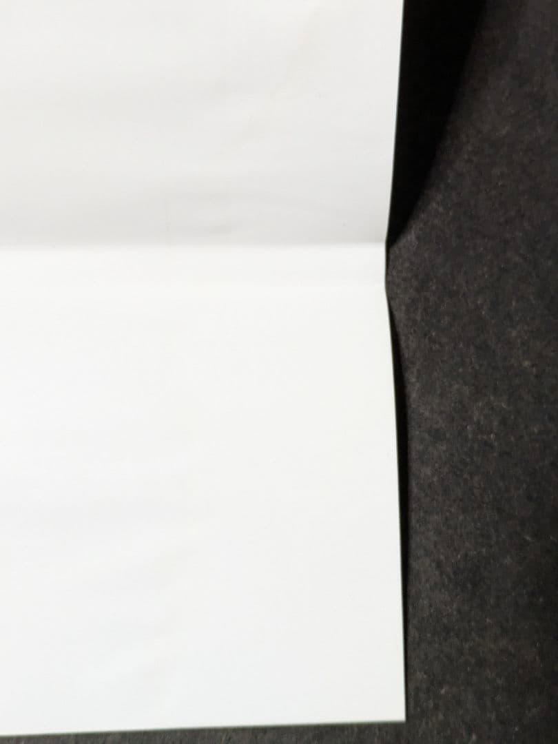 夜廻と深夜廻 for Nintendo Switch 訳あり