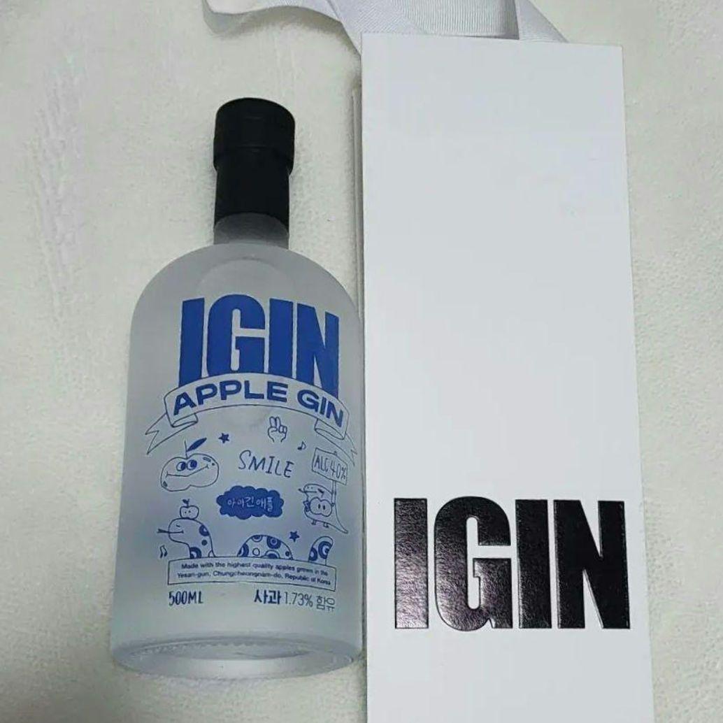 BTS IGIN ジン APPLE GIN 数量限定 完売品