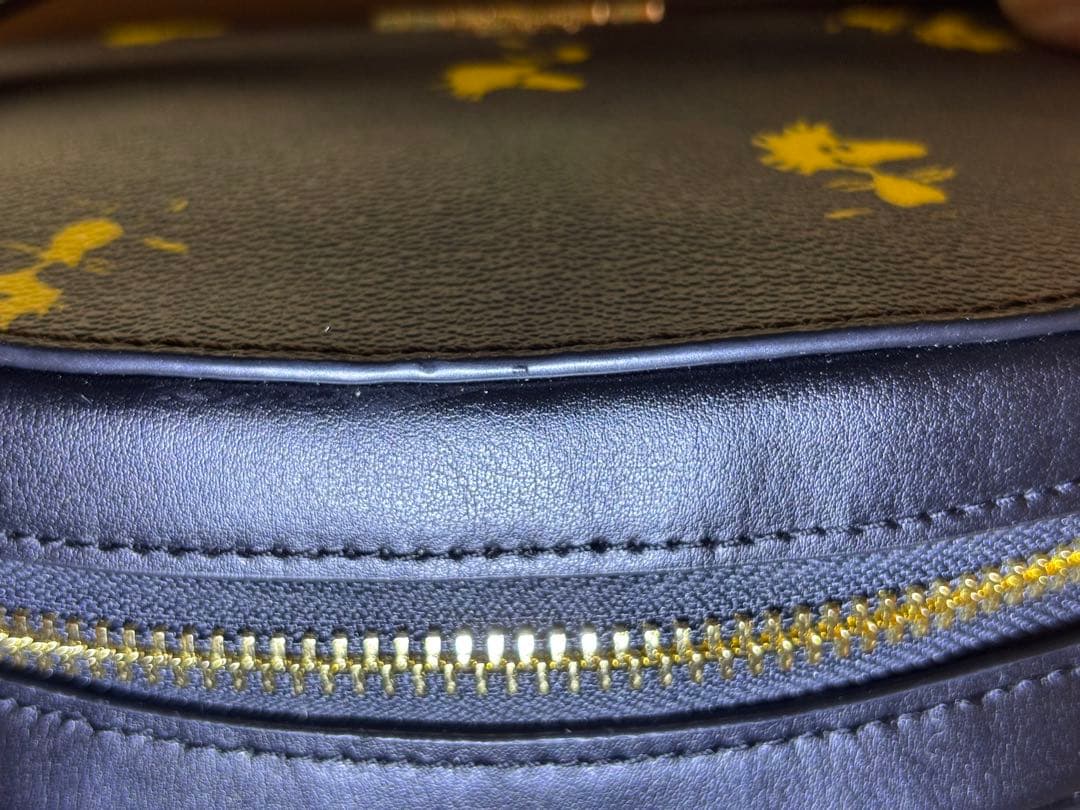 COACH スヌーピー ショルダーバッグ ウッドストック ピーナッツ