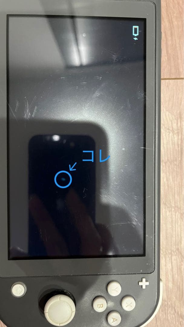 k*n様 Nintendo Switch Lite グレー 本体