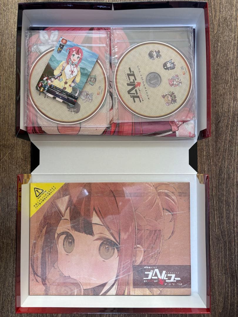 【ほぼ新品】Switch ゴーヘルゴー つきおとしてこ 完全生産限定版