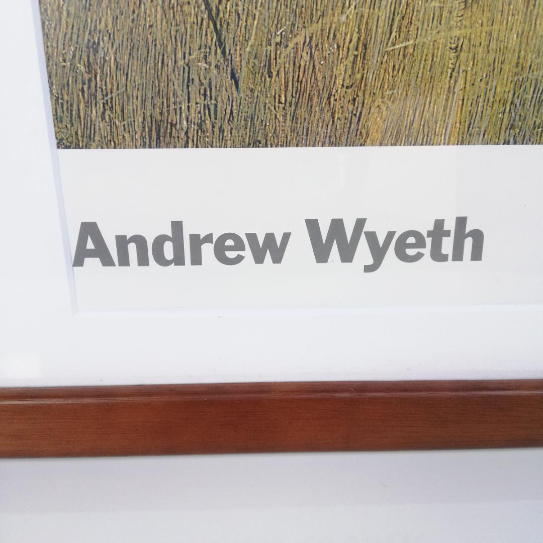 R_YKHM_☆ MoMA 絵画 Andrew Wyeth